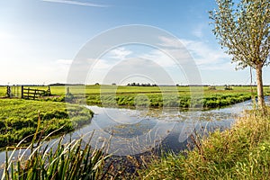 Characteristic agricultural polder landscape in the Alblasserwaard region