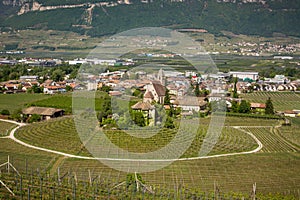 Characteristic circular vineyard in the South Tyrol, Egna, Bolzano, Italy on the wine road.