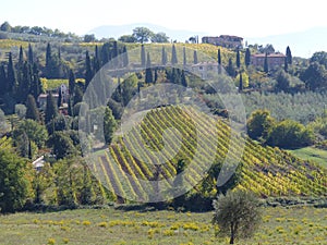 Characteristic landscape of Tuscany in Italy.