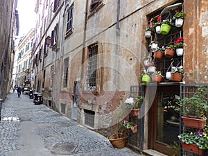 Characteristic narrow street with colored suspended vases to Rome in Italy.