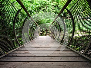 Characteristic pedestrian wooden bridge with a metal grating par