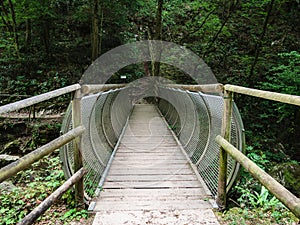 Characteristic pedestrian wooden bridge with a metal grating par