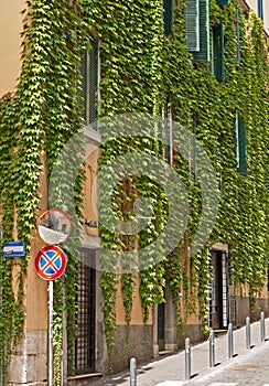 Characteristic street in Rome