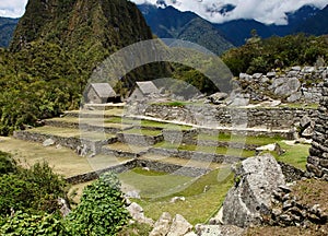 The characteristic terraces that make up the wonderful site of Machu Picchu in the Peruvian Andes, in Peru