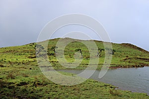 Characteristic vegetation around Lagoa Do Capitao, Pico island, Azores photo