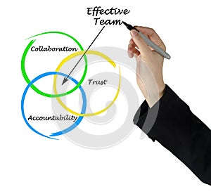 Characteristics of Effective Team