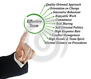 Characteristics of Effective Team