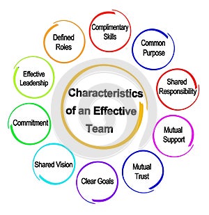Characteristics of an Effective Team