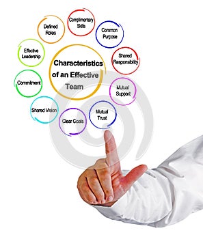Characteristics of an Effective Team