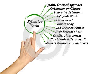Characteristics of Effective Team