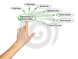 Characteristics of Effective Teams photo