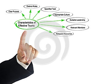 Characteristics of Effective Teams