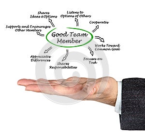 Characteristics of Good Team Member