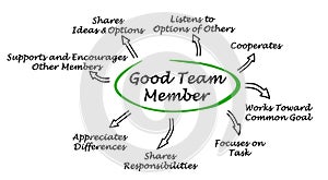 Characteristics of Good Team Member photo