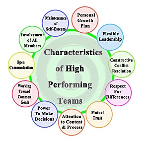 Characteristics of High Performing Teams