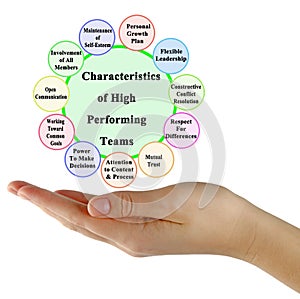 High Performing Teams