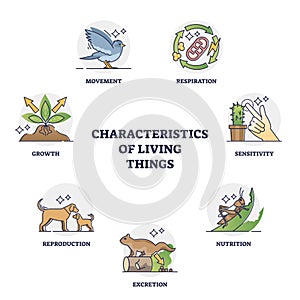 Characteristics of living things and their recognition groups outline diagram photo
