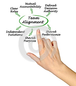 Characteristics of Team Alignment photo