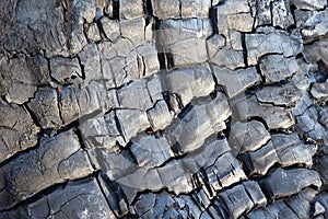 Charcoal. Burnt firewood. Close-up.Burning charcoal firewood in the fireplace or the stove