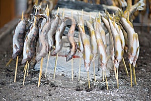 Charcoal grilled Ayu fish with salt