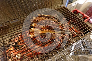 Charcoal grilled octopus photo
