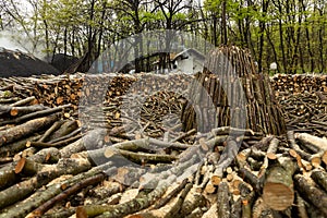 Charcoal making in the forests of Istanbul