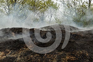 Charcoal making in the forests of Istanbul