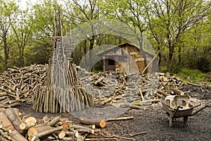 Charcoal making in the forests of Istanbul