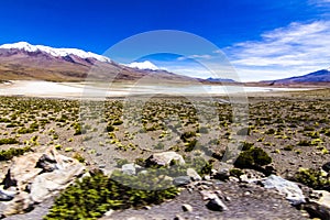 Charcota Lagoon at Bolivian Altiplano in the way to Uyuni Saltflats, Bolivia