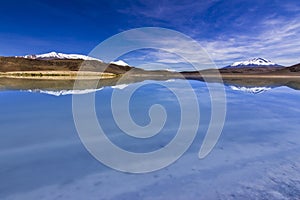 Charcota Lagoon at Bolivian Altiplano in the way to Uyuni Saltflats, Bolivia