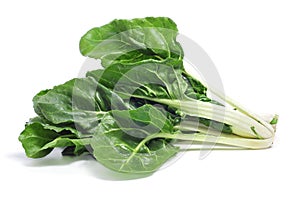 Chard