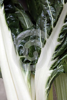 Chard, a highly healthy nutritious vegetable.