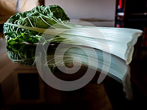 Chard leaf, white stem edible vegetable