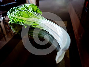 Chard leaf, white stem edible vegetable