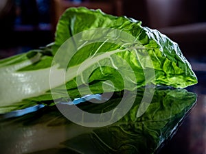 Chard leaf, white stem edible vegetable