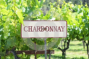 Chardonnay Grapes Sign