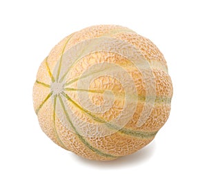 Charentais melon