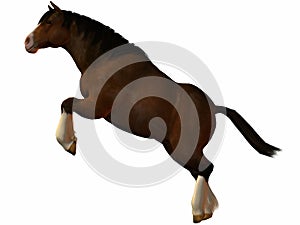 Charger Horse-Leap