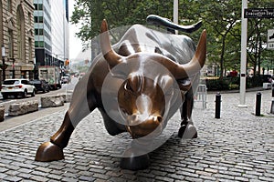 Charging Bull, aka the Wall Street Bull, bronze sculpture on Broadway at Bowling Green, New York, NY