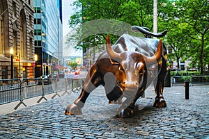 Charging Bull (Bowling Green Bull) sculpture in New York