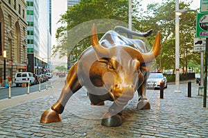 Charging Bull sculpture in New York City