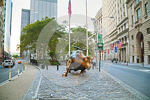 Charging Bull sculpture in New York City