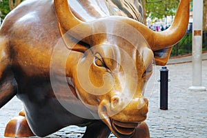 Charging Bull sculpture in New York City