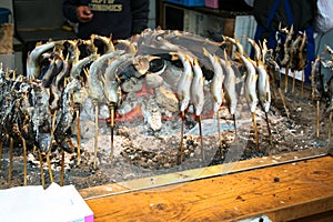 Chargrilled fish photo