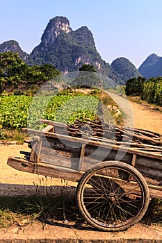 Chariot with branches in a limestone valley landscape