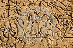 Chariots at the Battle of Kadesh, Ramesseum