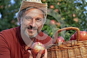 Charismatic Handsome Farmer with Hat Holding Red Apple in Sunny Orchard