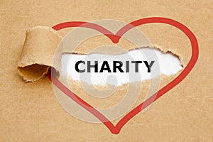 Charity Torn Paper