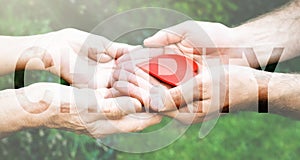 Charity Transparent Text Effect, old and young hands, red heart image cut, white background.
