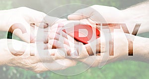 Charity Transparent Text Effect, old and young hands, red heart image cut, white background.